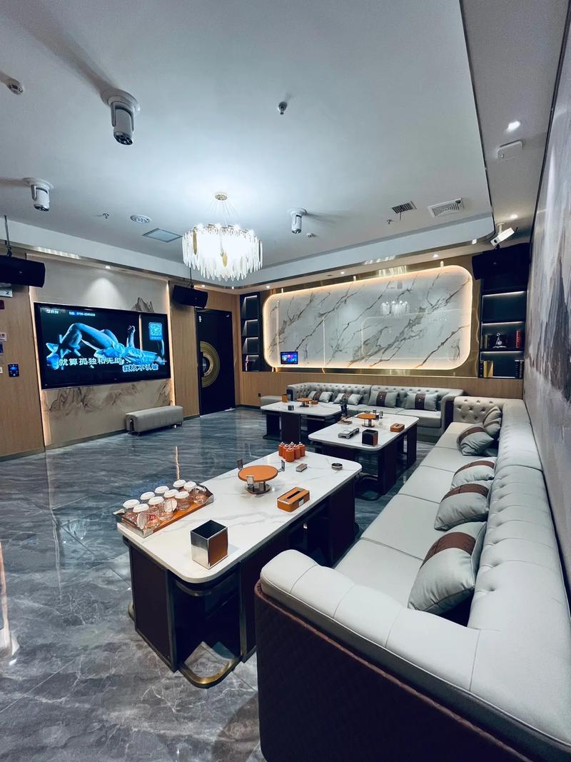 南阳商务ktv尊享单人包间-西峡县ktv预订